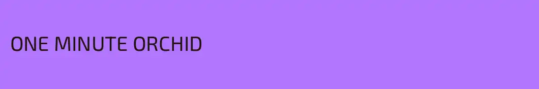 ONE MINUTE ORCHID